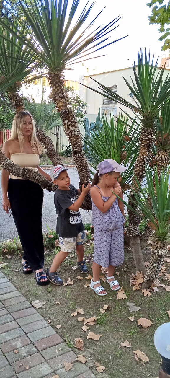 Гостиница Каисса Адлер-226