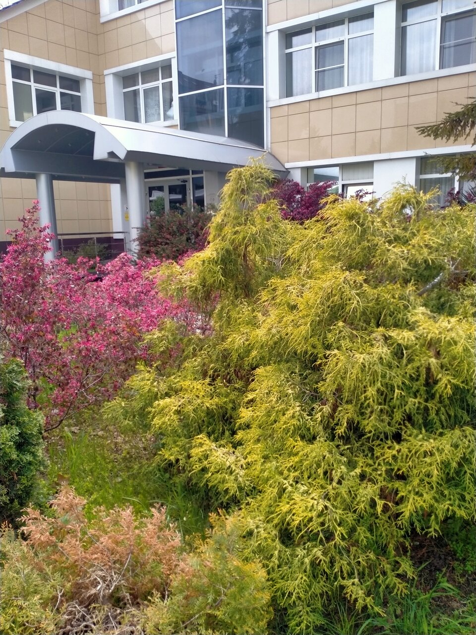 Гостиница Каисса Адлер-211