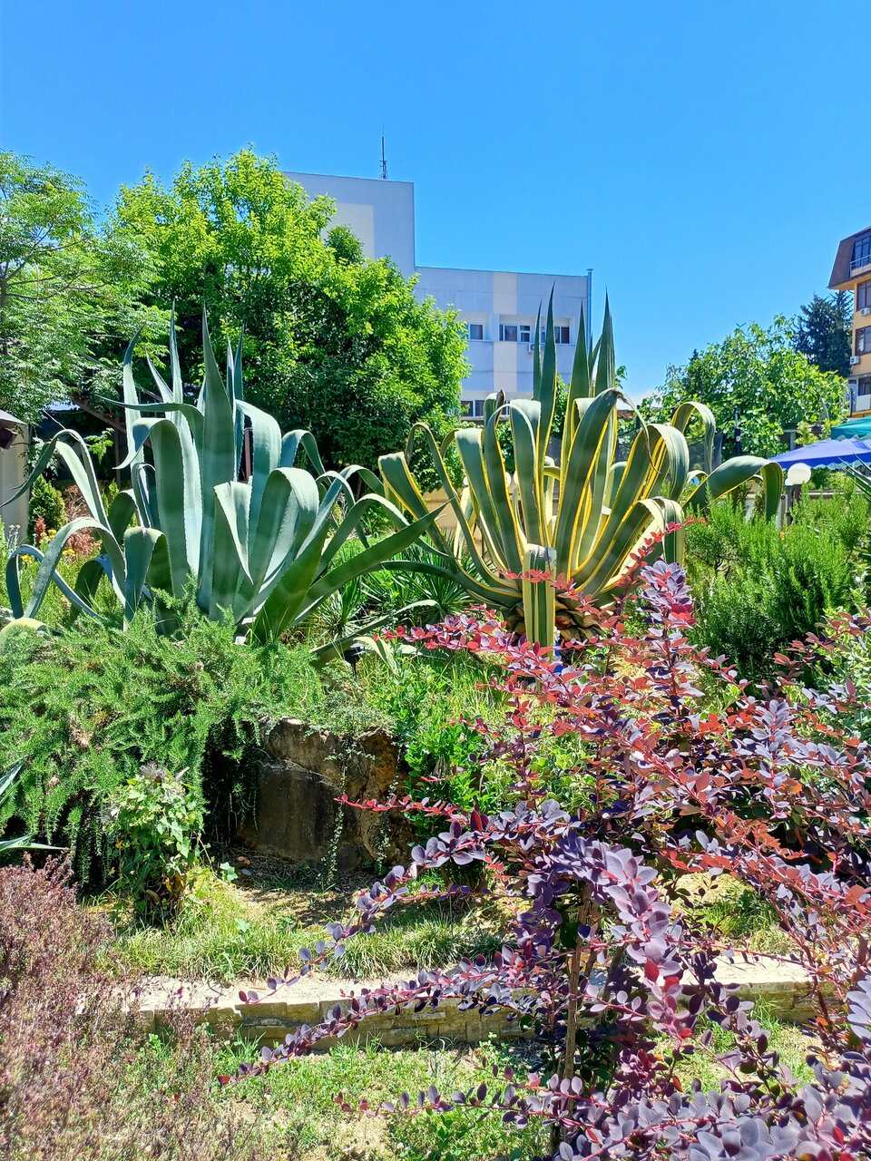 Гостиница Каисса Адлер-115