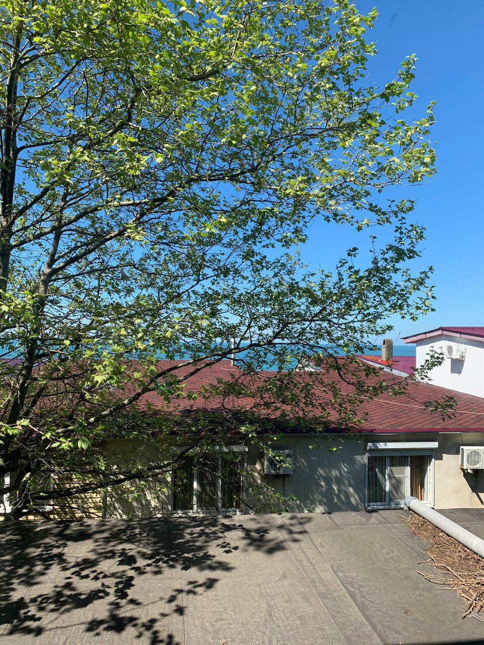 Гостиница Каисса Адлер-150