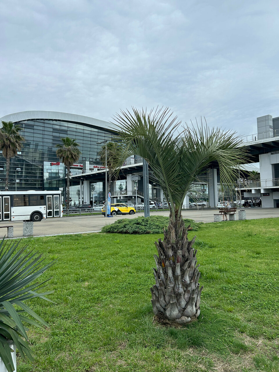 Гостиница Каисса Адлер-162