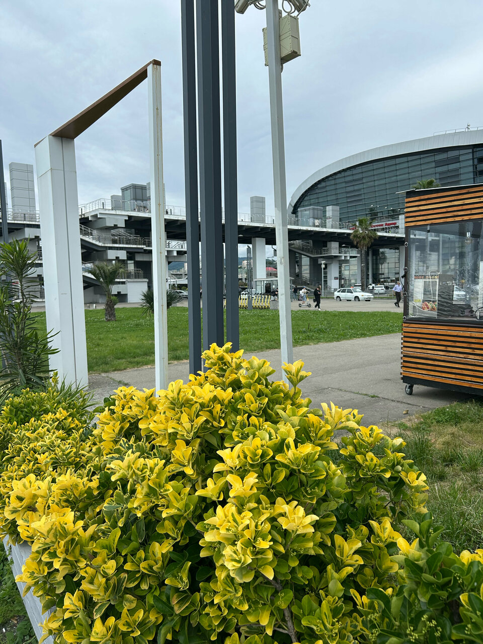 Гостиница Каисса Адлер-130