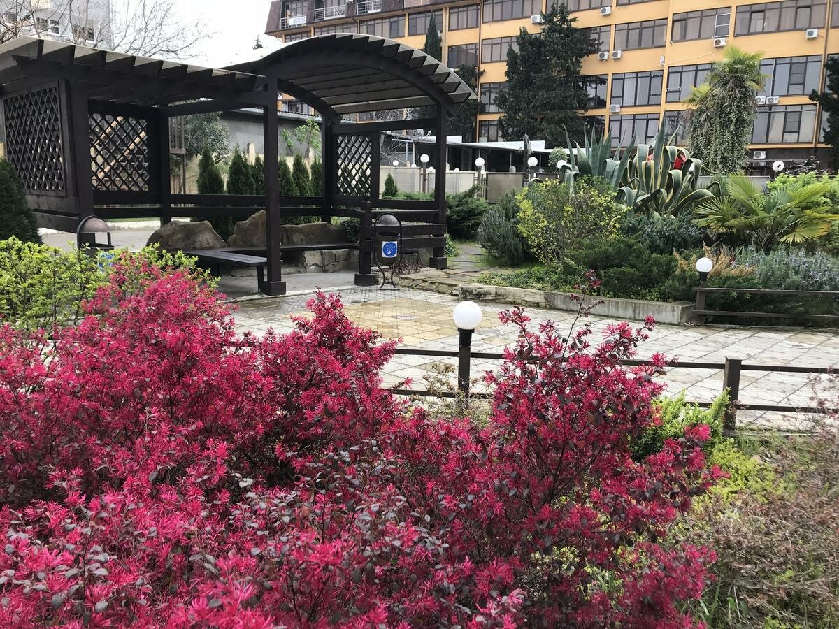 Гостиница Каисса Адлер-36