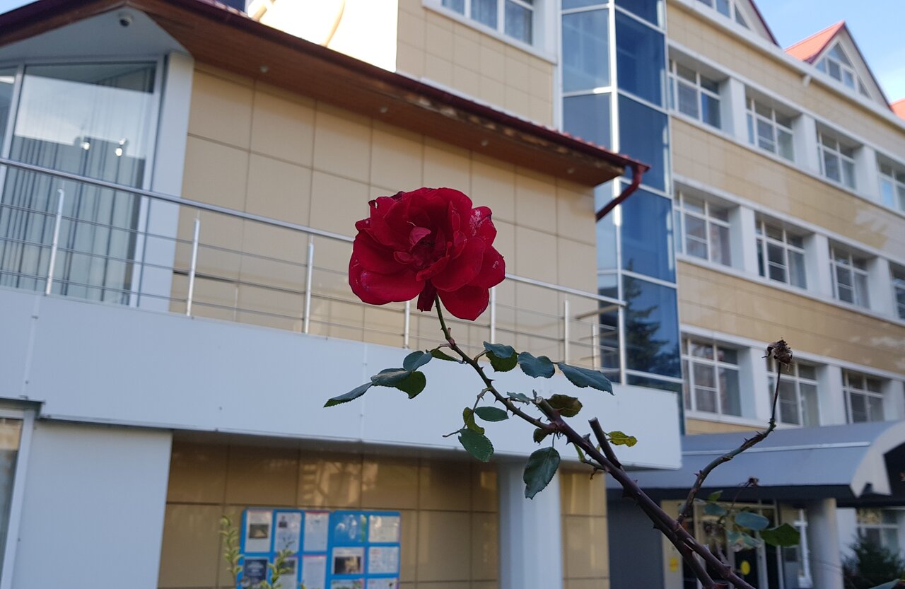 Гостиница Каисса Адлер-139