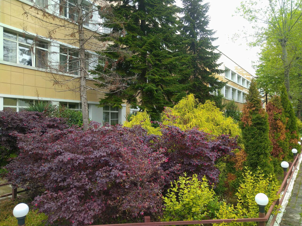 Гостиница Каисса Адлер-132