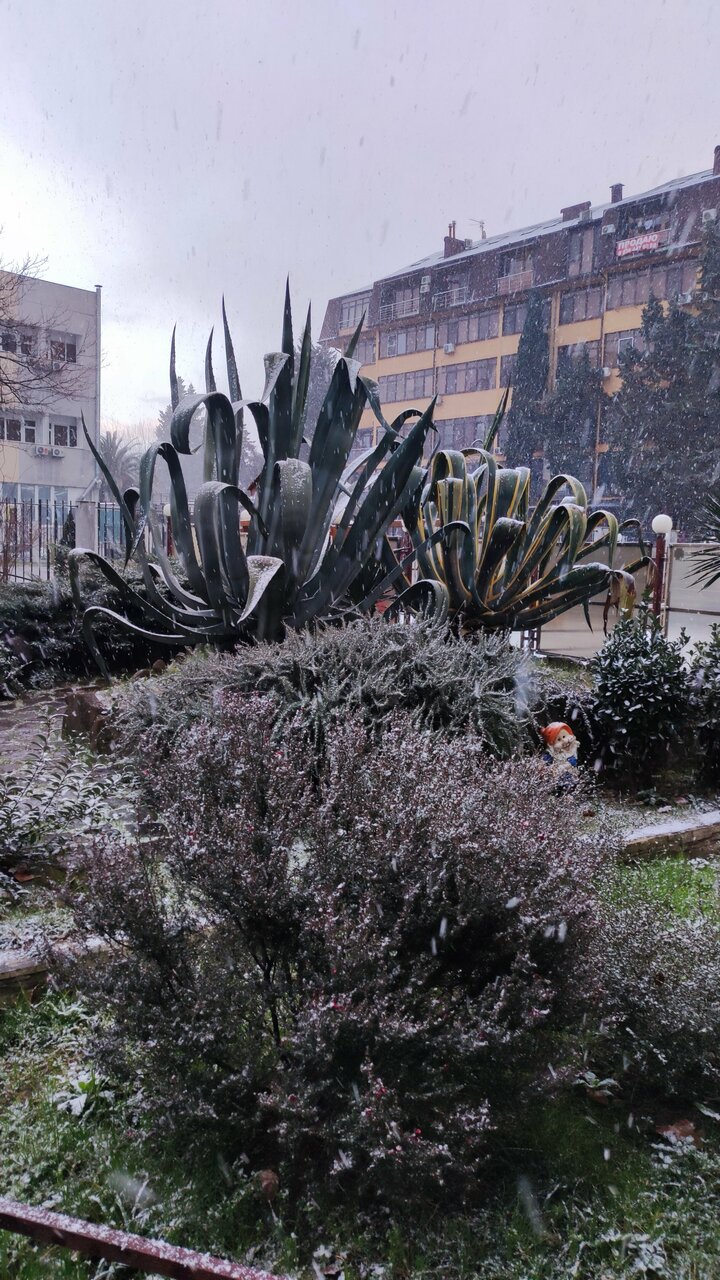 Гостиница Каисса Адлер-214