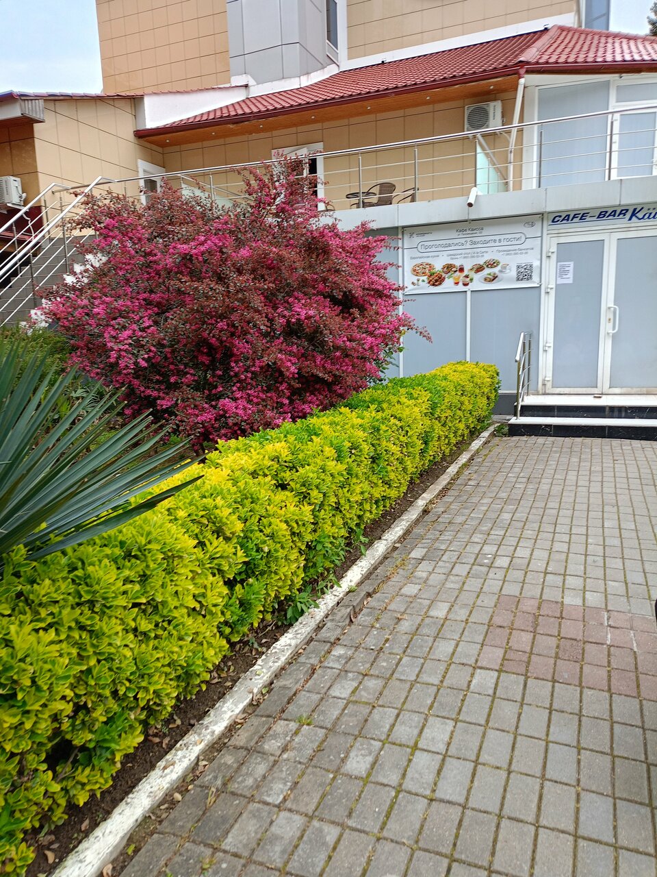 Гостиница Каисса Адлер-189