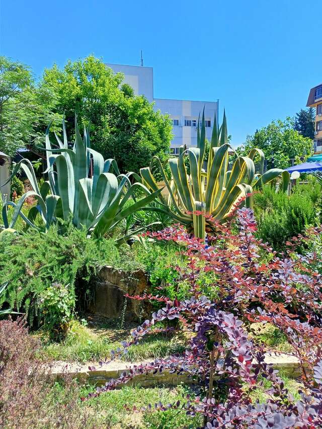 Гостиница Каисса Адлер-114