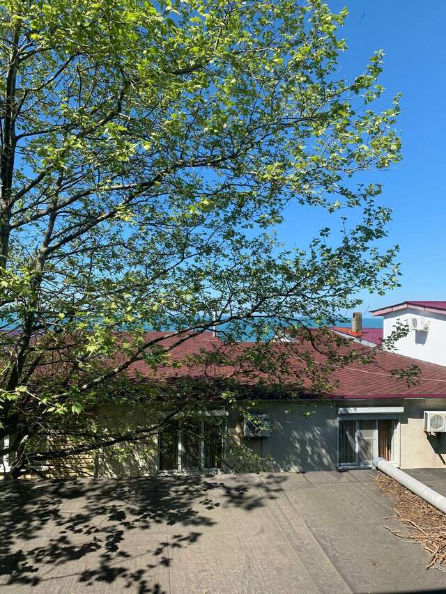 Гостиница Каисса Адлер-149