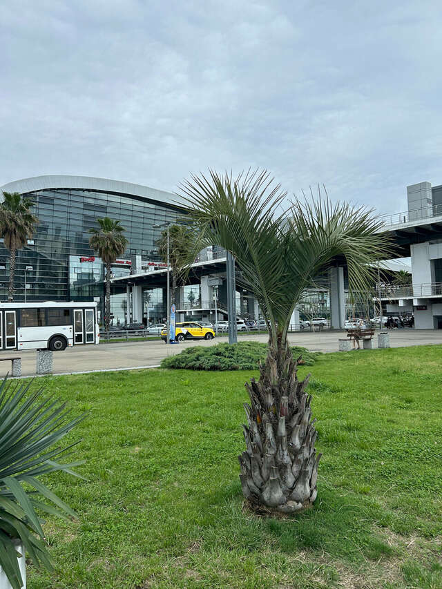 Гостиница Каисса Адлер-161